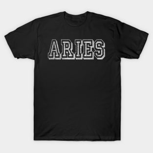 Aries logo T-Shirt